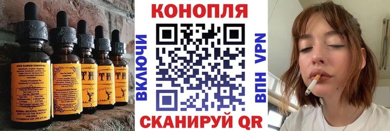 Купить где  Мурино  Canna-Cookies марихуана 
