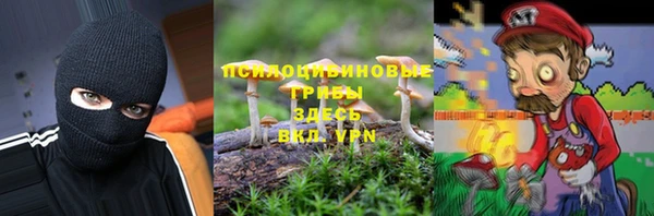 тгк Магас