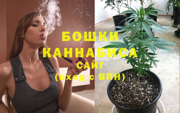тгк Магас