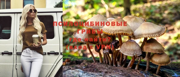 тгк Магас