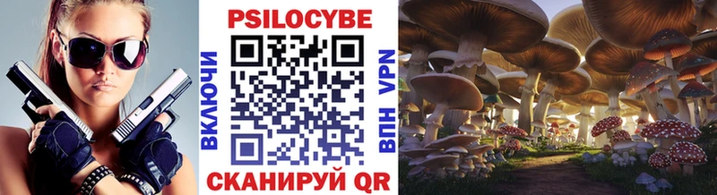 Псилоцибиновые грибы Cubensis Купить Мурино